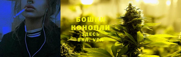 дурь Алзамай