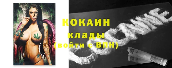прущие грибы Абинск