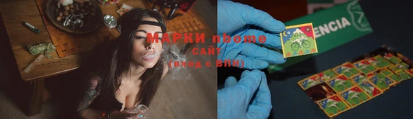 прущие грибы Абинск