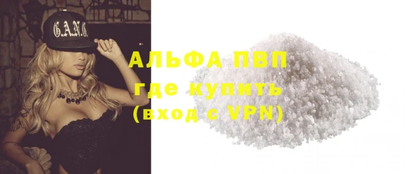 прущие грибы Абинск