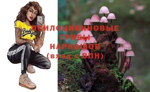 apvp Абдулино