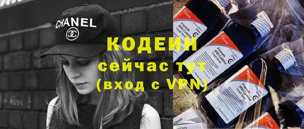 прущие грибы Абинск