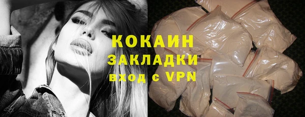 прущие грибы Абинск