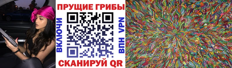 купить наркоту  Орск  Галлюциногенные грибы Psilocybine cubensis 